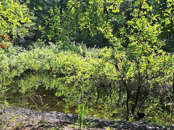 1.25 Acres of Residential Land for Sale in Cross, South Carolina