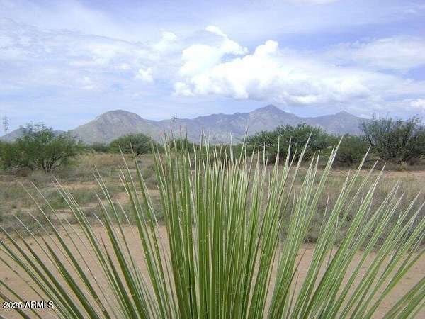 4 Acres of Residential Land for Sale in Hereford, Arizona