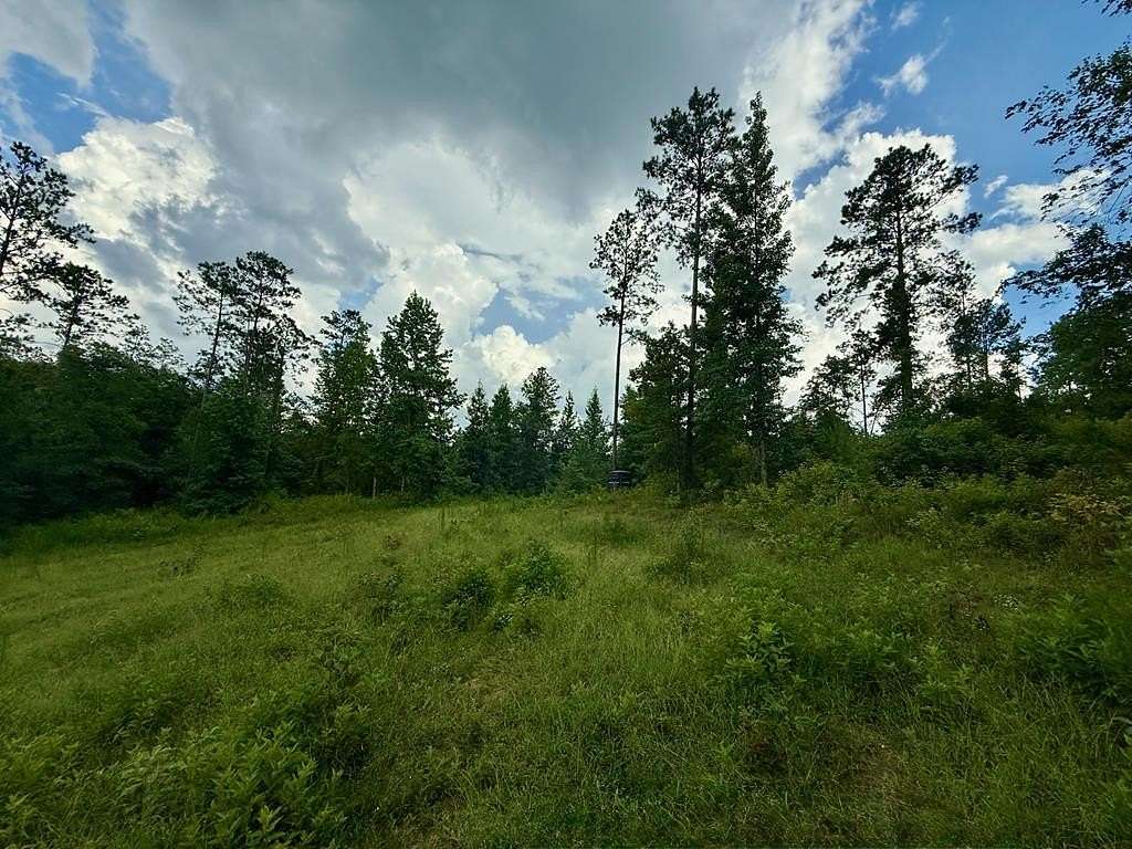 37 Acres of Recreational Land for Sale in Troy, Alabama