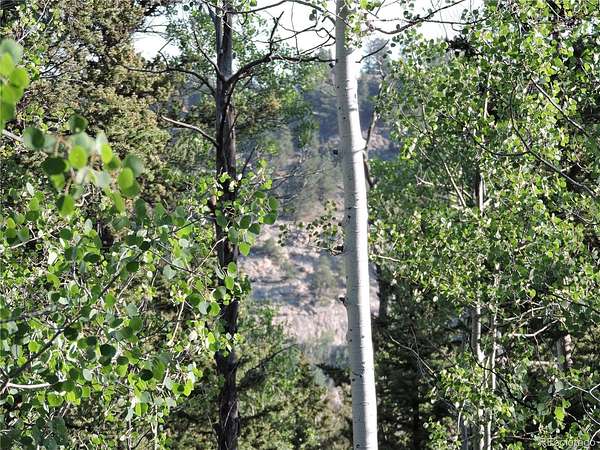 2 Acres of Residential Land for Sale in Como, Colorado