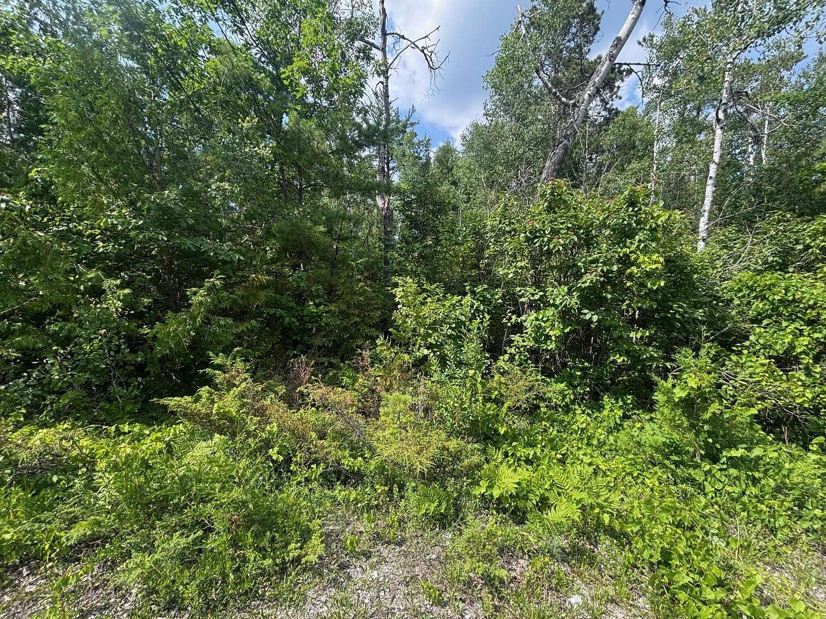 Land for Sale in Presque Isle, Michigan