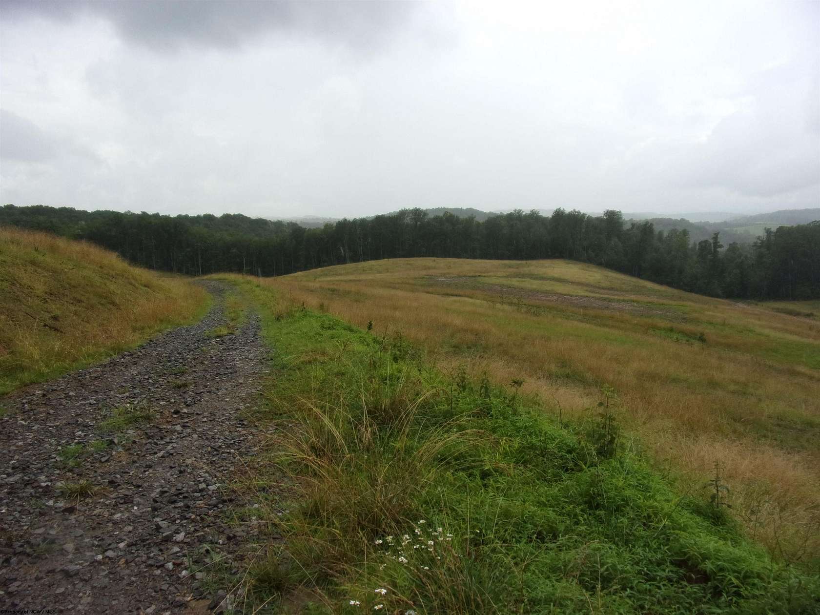 34.5 Acres of Land for Sale in Buckhannon, West Virginia