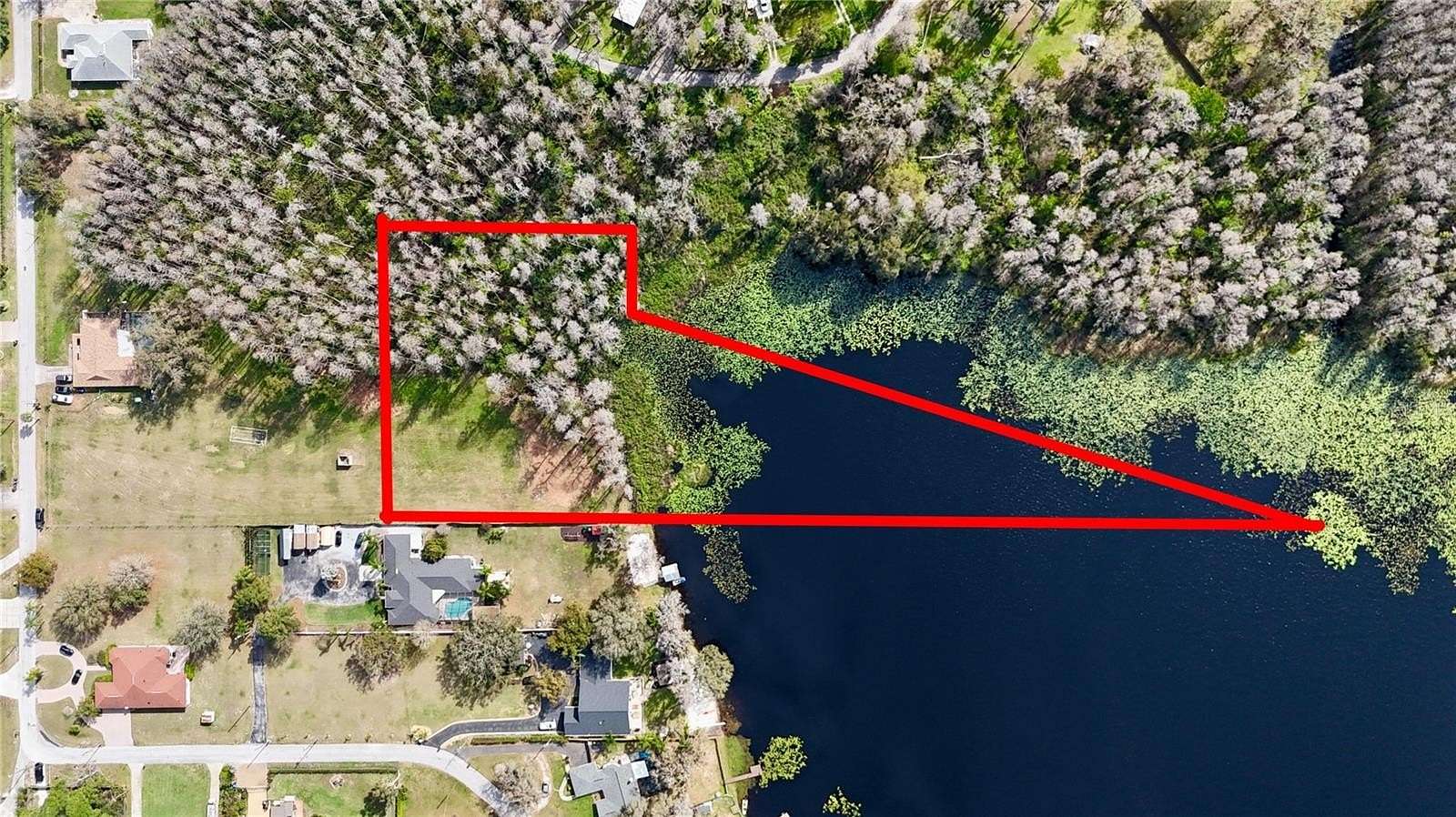 6.19 Acres of Residential Land for Sale in Lutz, Florida