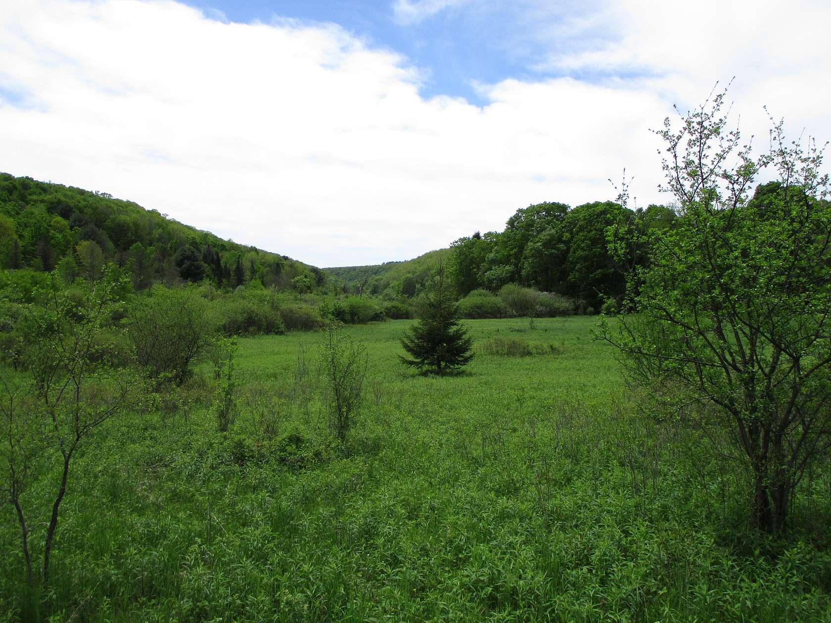 423 Acres of Recreational Land with Home for Sale in Hinsdale, New York