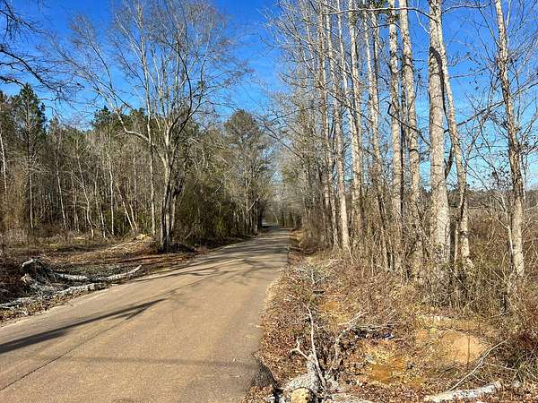 110 Acres of Recreational Land for Sale in Forest, Mississippi