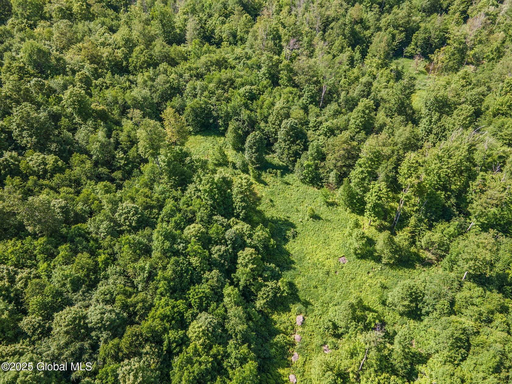 24.6 Acres of Recreational Land for Sale in Jefferson, New York