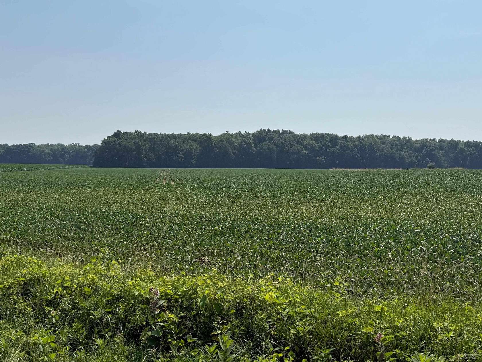 211 Acres of Agricultural Land for Sale in Morenci, Michigan
