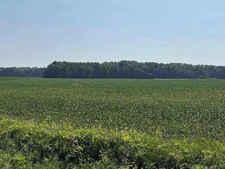 211 Acres of Agricultural Land for Sale in Morenci, Michigan