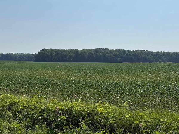 211 Acres of Agricultural Land for Sale in Morenci, Michigan