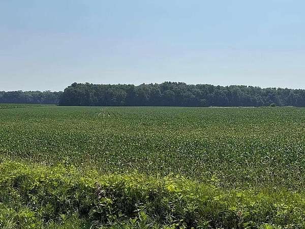 211 Acres of Agricultural Land for Sale in Morenci, Michigan