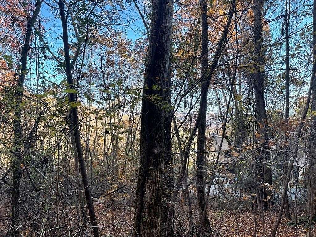 4.34 Acres of Residential Land for Sale in Hayesville, North Carolina