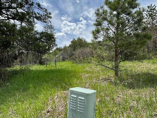 2 Acres of Land for Sale in Beulah, Colorado