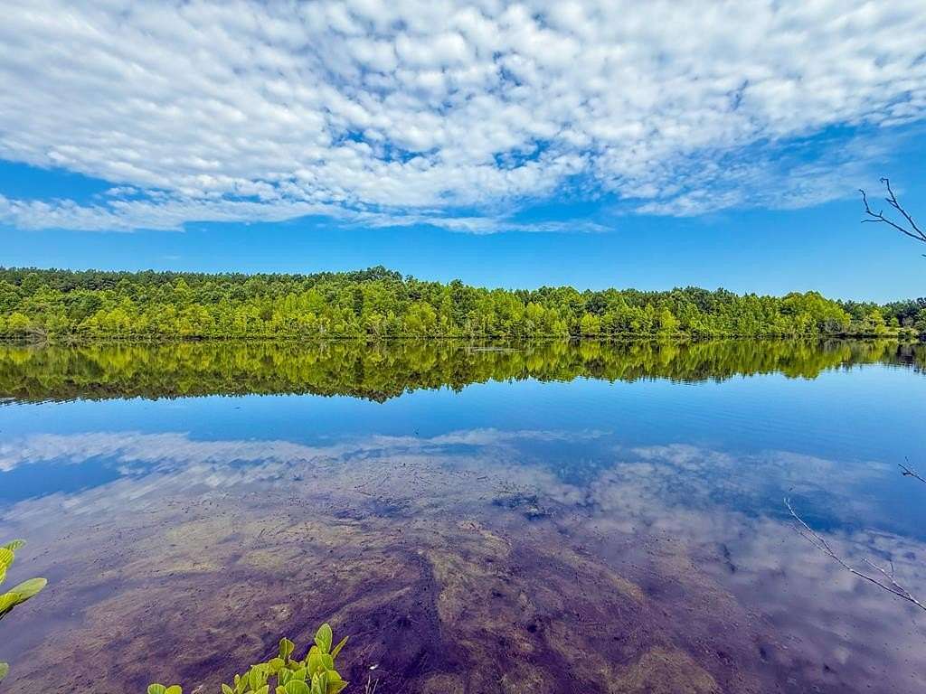 96.3 Acres of Land for Sale in Crewe, Virginia