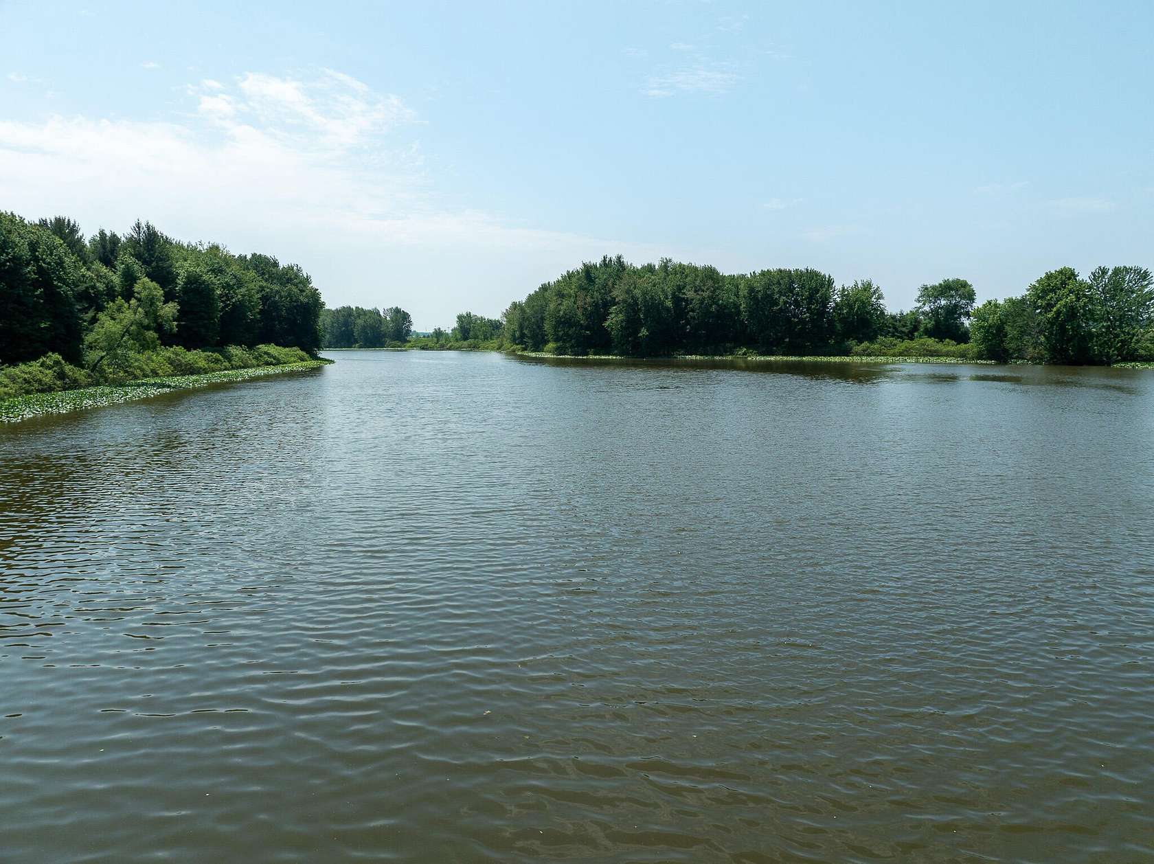 15 Acres of Recreational & Residential Land for Sale in Custer, Michigan
