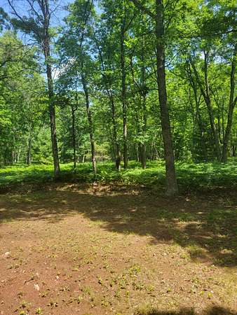 5.2 Acres of Recreational Land for Sale in Baldwin, Michigan