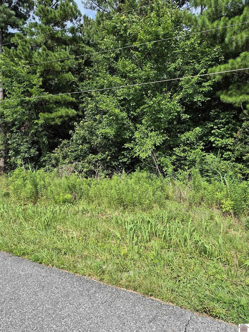 0.24 Acres of Residential Land for Sale in Gilbertsville, Kentucky