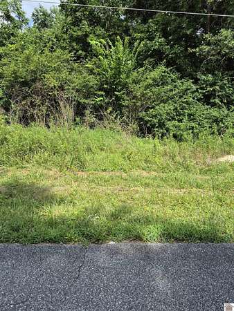 0.24 Acres of Residential Land for Sale in Gilbertsville, Kentucky