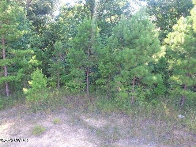 12 Acres of Land for Sale in Luray, Tennessee