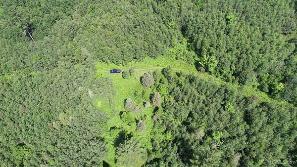 80 Acres of Land for Sale in Crystal Falls, Michigan