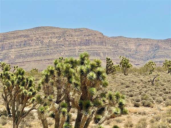 1.15 Acres of Residential Land for Sale in Meadview, Arizona