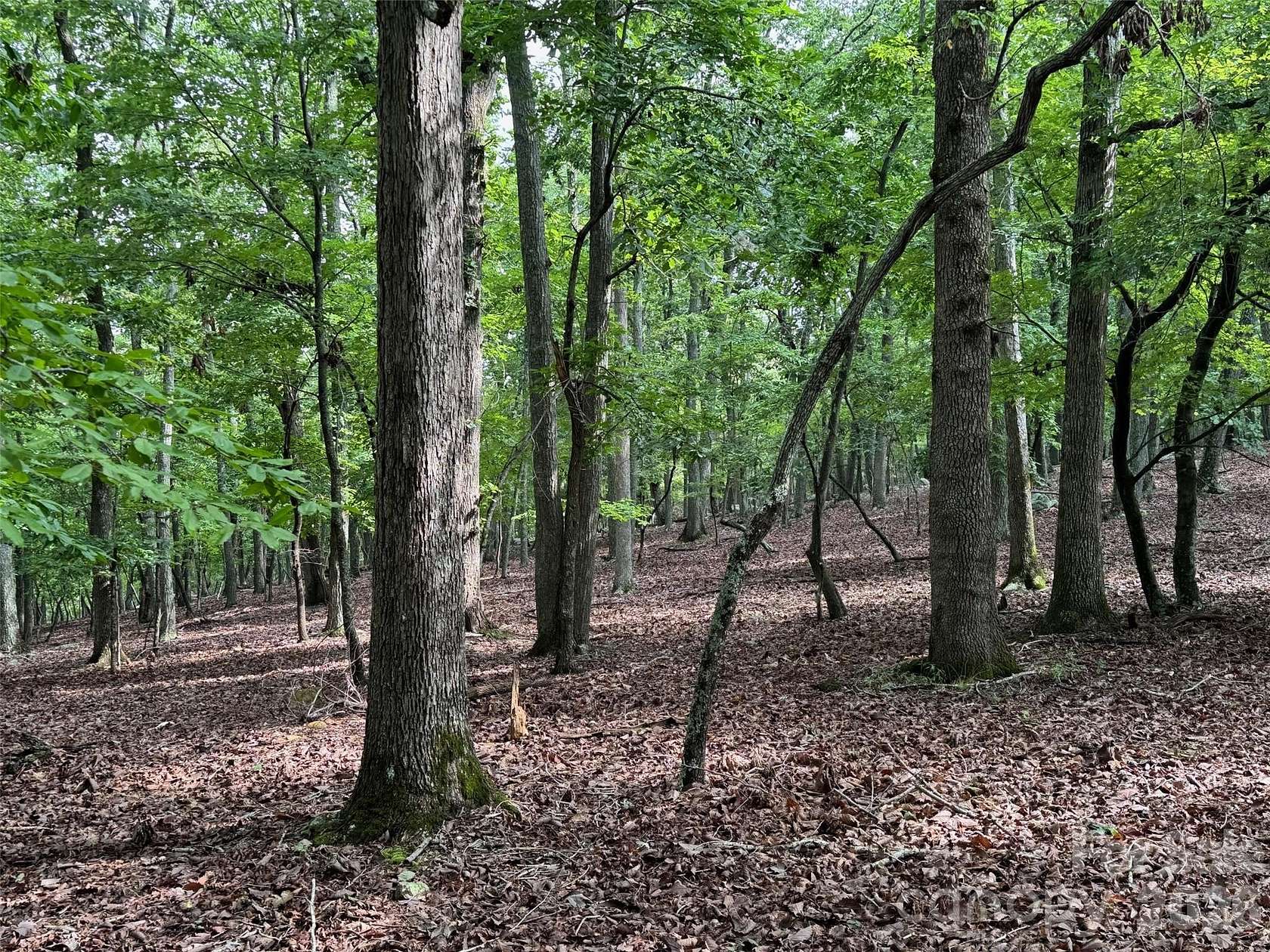 4.26 Acres of Residential Land for Sale in Denton, North Carolina