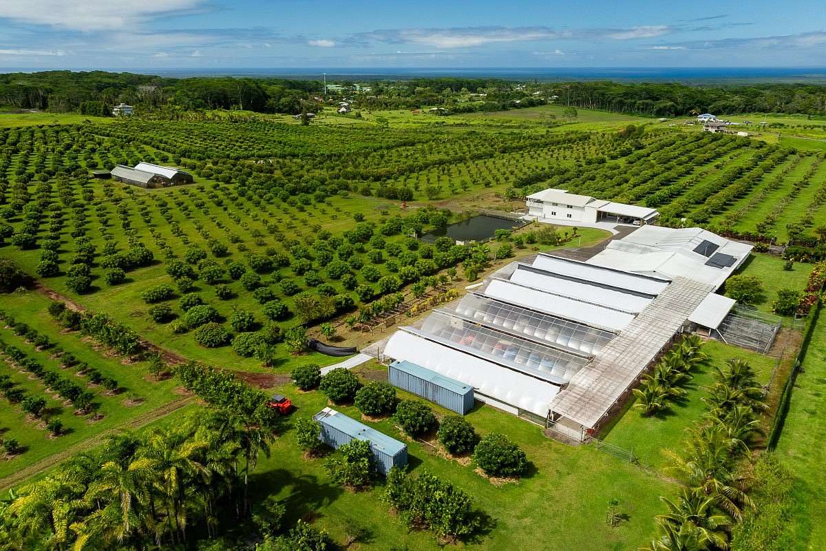 99.2 Acres of Agricultural Land for Sale in Kurtistown, Hawaii