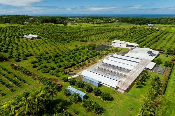 99.2 Acres of Agricultural Land for Sale in Kurtistown, Hawaii