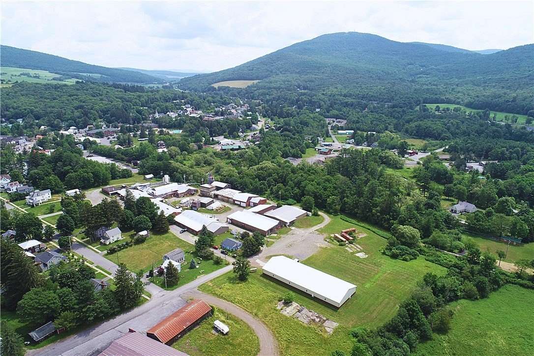 11.3 Acres of Land for Sale in Stamford, New York