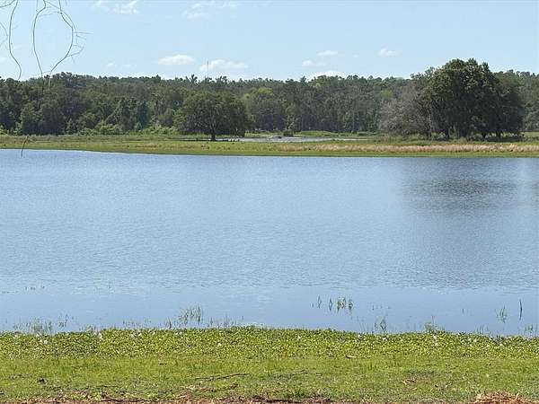 9 9 Acres of Land for Sale in Brooksville - Brooksville Fl 144710133 