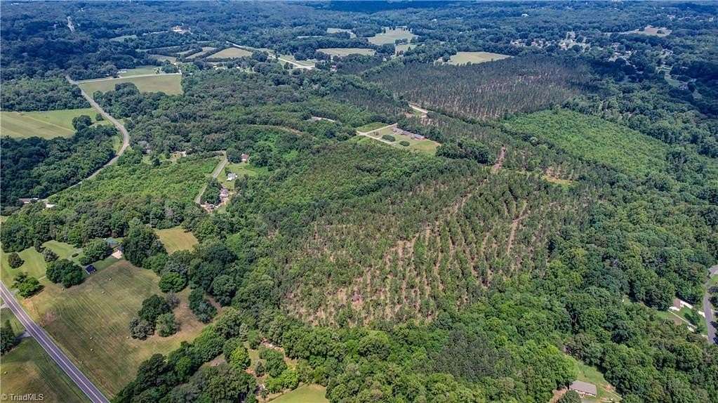43.6 Acres of Land for Sale in Eden, North Carolina