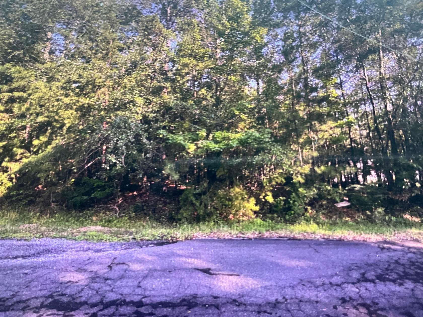 Residential Land for Sale in Jasper, Alabama