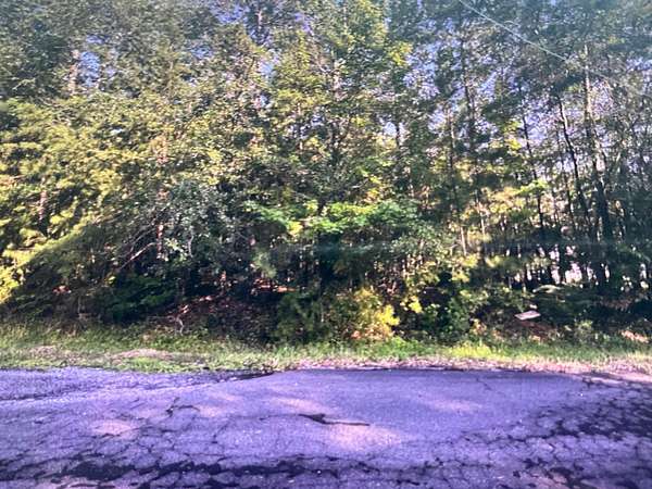 Residential Land for Sale in Jasper, Alabama