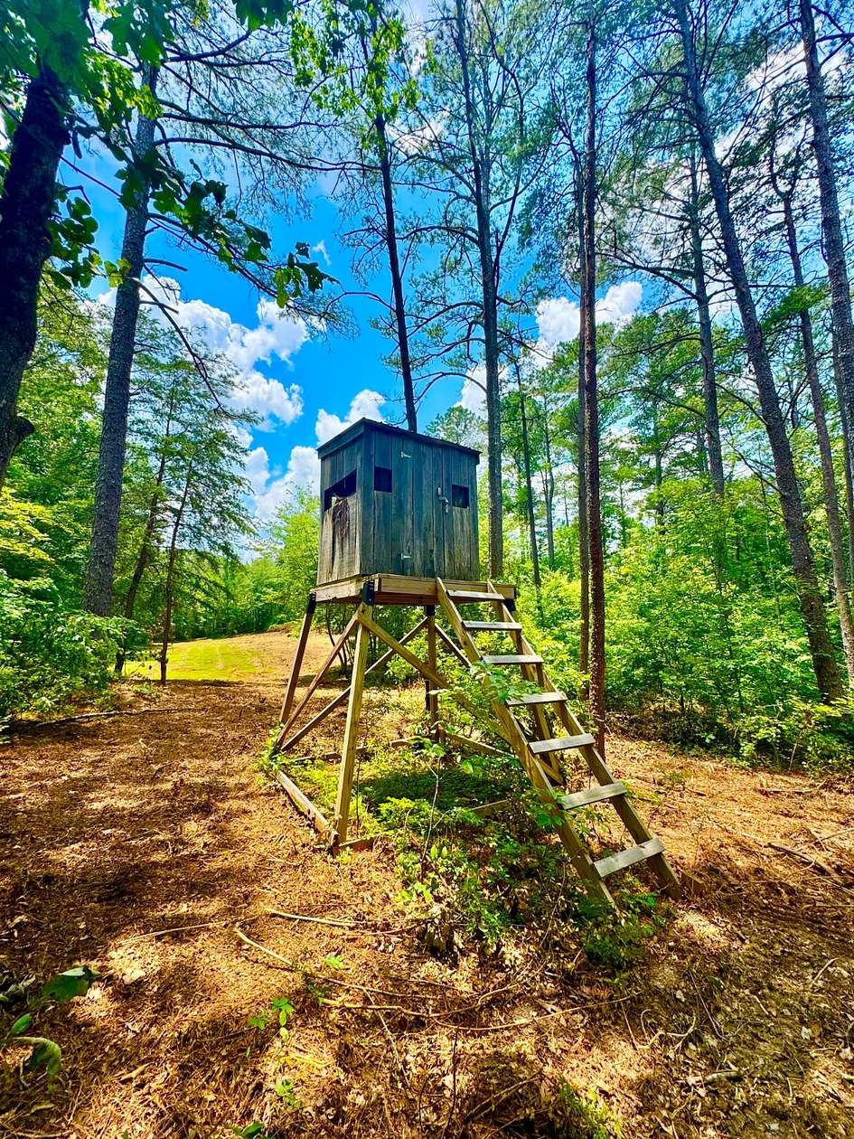 193 Acres of Recreational Land & Farm for Sale in Double Springs, Alabama