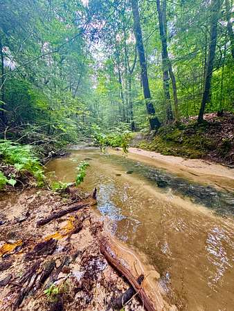 142 Acres of Recreational Land & Farm for Sale in Ashridge, Alabama