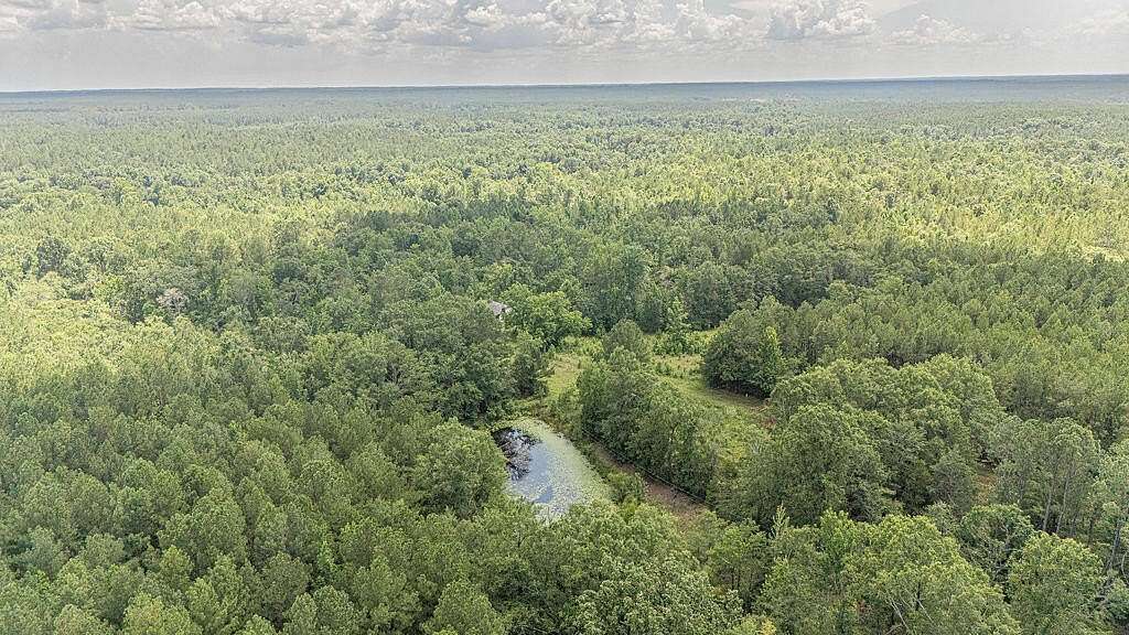 100 Acres of Improved Land for Sale in Edgefield, South Carolina