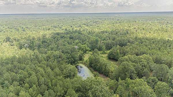 100 Acres of Improved Land for Sale in Edgefield, South Carolina