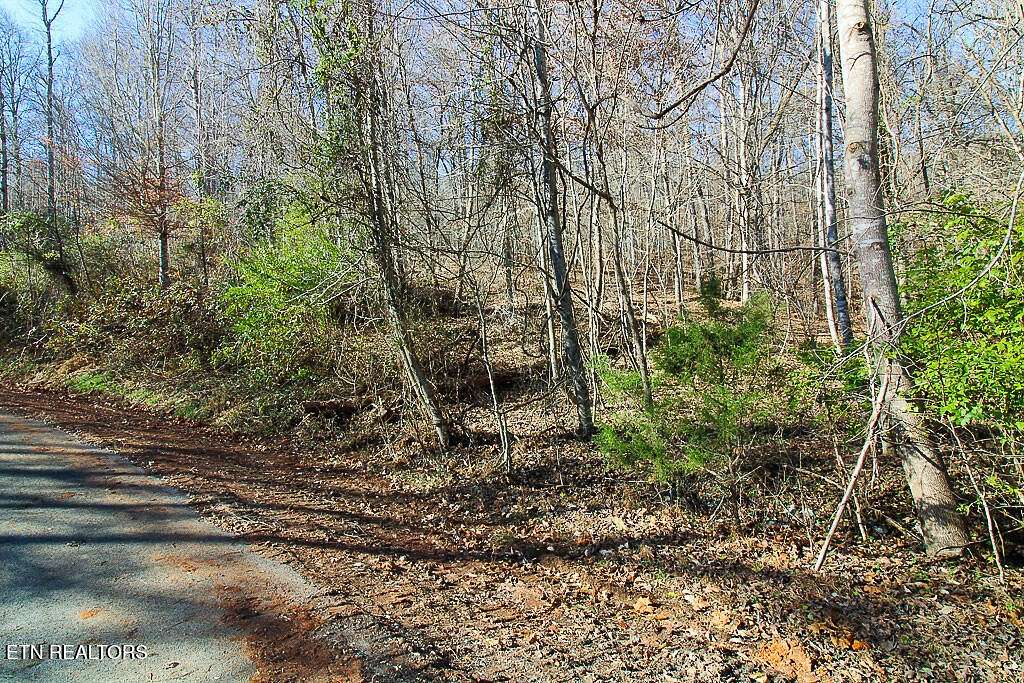 1.32 Acres of Residential Land for Sale in New Tazewell, Tennessee