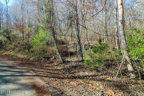1.32 Acres of Residential Land for Sale in New Tazewell, Tennessee