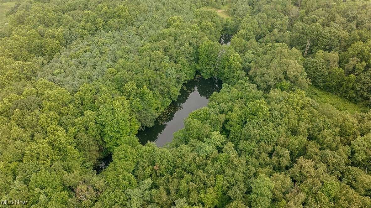 35.9 Acres of Recreational Land for Auction in Canfield, Ohio