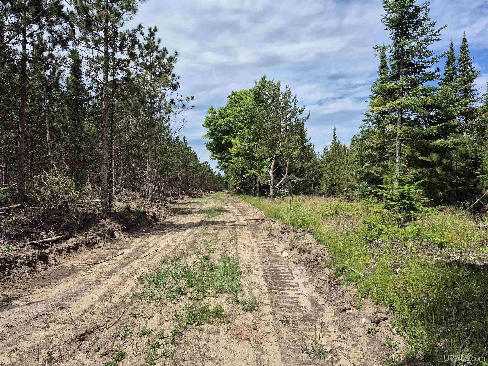 80 Acres of Recreational Land for Sale in Manistique, Michigan
