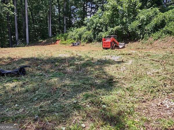 2 Acres of Land for Sale in Stockbridge, Georgia