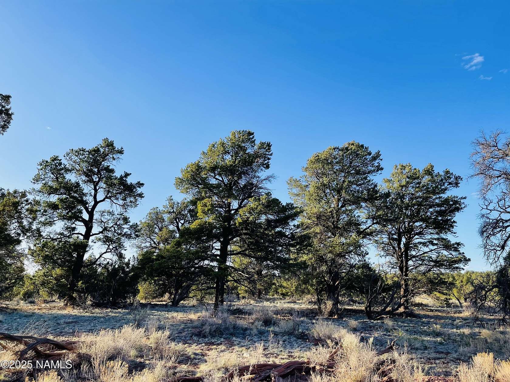 10 Acres of Land for Sale in Williams, Arizona