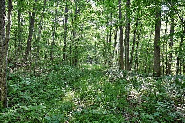 80 Acres of Recreational Land for Sale in Cornell, Wisconsin