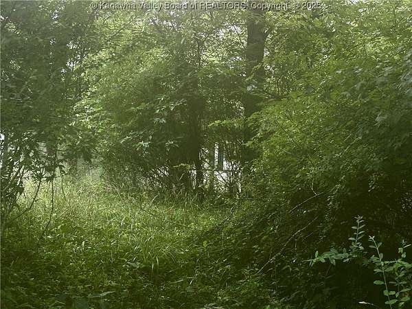 1.83 Acres of Residential Land for Sale in Elizabeth, West Virginia