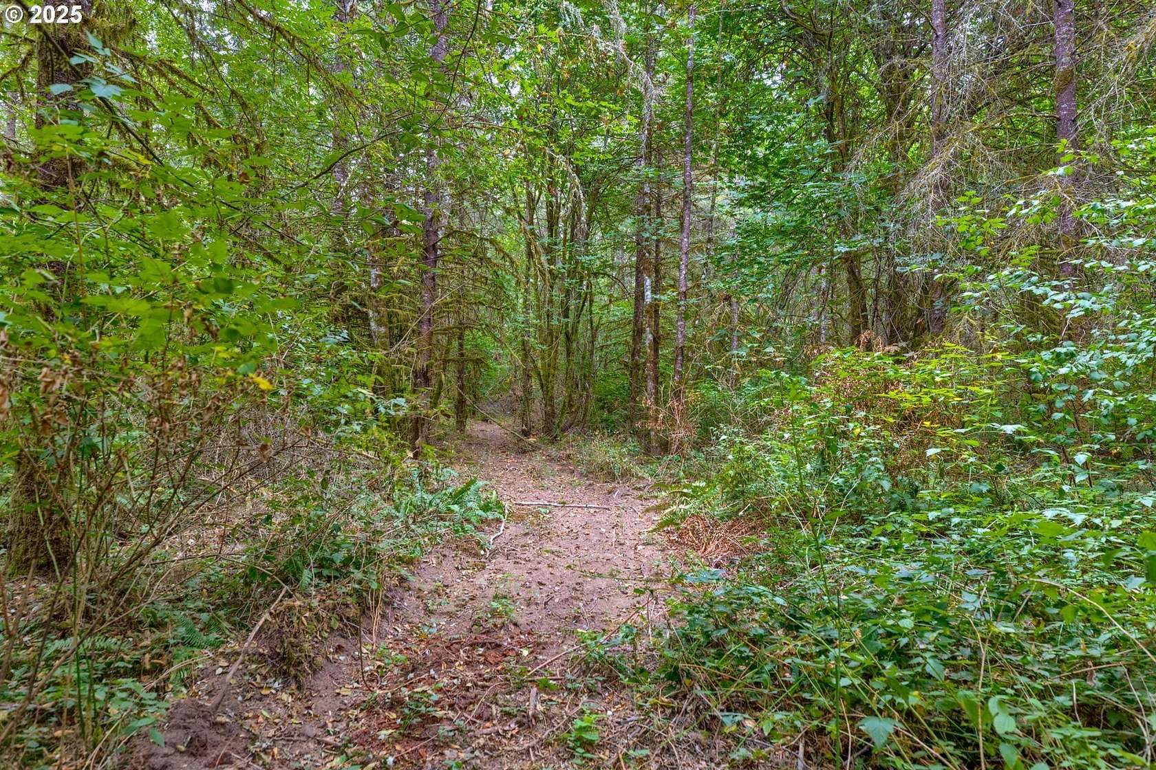 19.5 Acres of Mixed-Use Land for Sale in Battle Ground, Washington