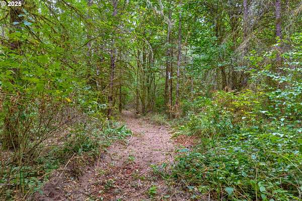 19.5 Acres of Mixed-Use Land for Sale in Battle Ground, Washington