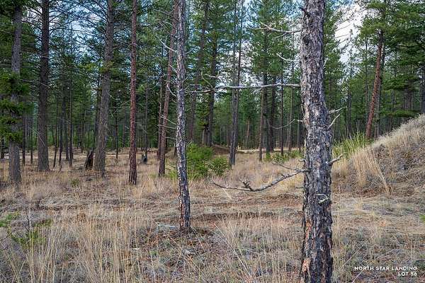 0.26 Acres of Residential Land for Sale in Eureka, Montana
