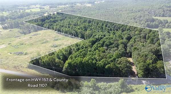 20.2 Acres of Land for Sale in Vinemont, Alabama