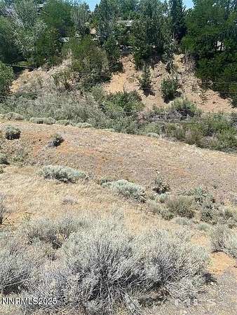 0.34 Acres of Residential Land for Sale in Reno, Nevada