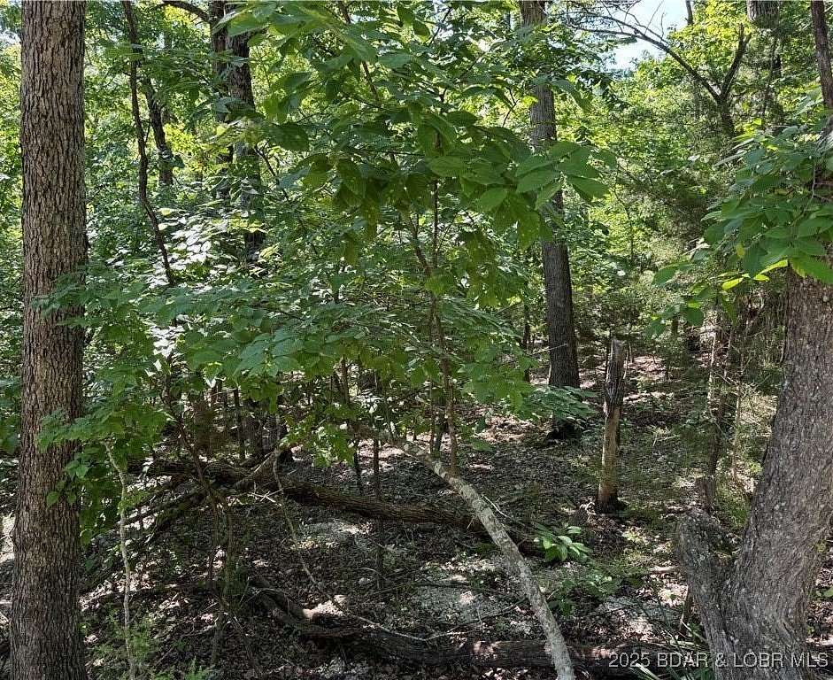0.13 Acres of Land for Sale in Camdenton, Missouri